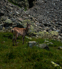 Évasion Nature : Collection de Paysages Époustouflants à Travers le Monde