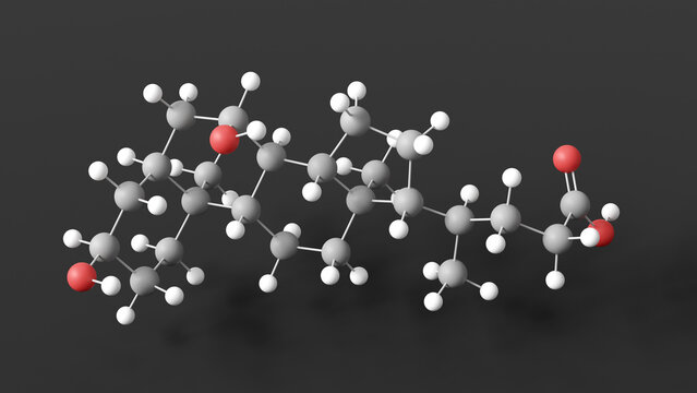 chenodeoxycholic acid molecule 3d, molecular structure, ball and stick model, structural chemical formula bile acid
