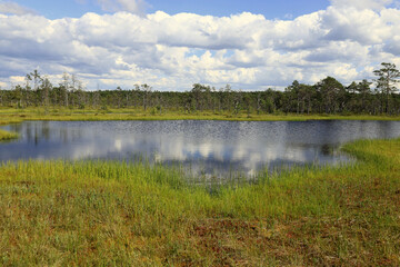 Landscape photo with a view of a mirror lake with trees in the background against a cloudy sky at...