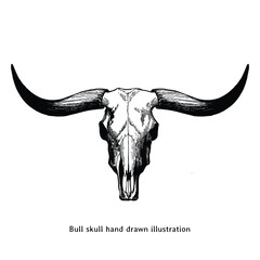Bull skull illustration. Bull skull hand drawn illustration in vintage engraving style. Bull skull sketch