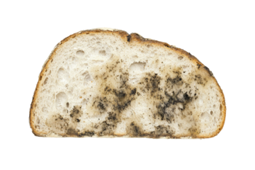 a piece of bread with mold on it Cutout and isolated and transparent background image