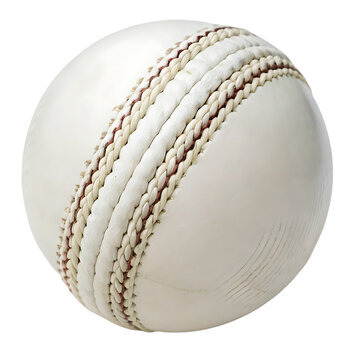cricket ball png