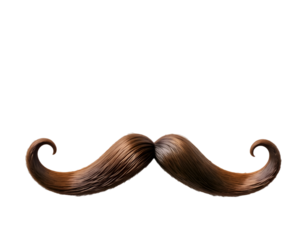 Realistic hair moustache isolated on transparent background