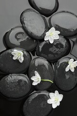 Spa stones and flowers on water surface, flat lay