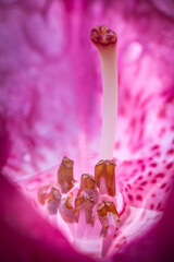 Bain douche &eacute;tamine