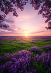 Fototapeta premium Lilac blooms sprawl peacefully, illuminated by blushing evening skies above
