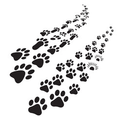 black and white footprints