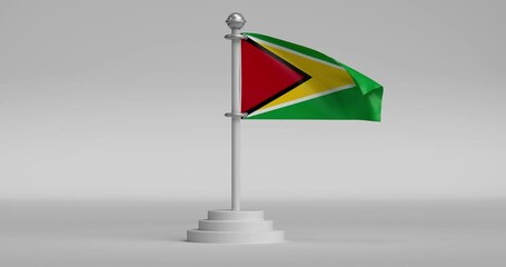 Guyana Flag 4K Animation White Background