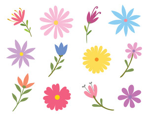 Collection of spring colorful flower elements vector.