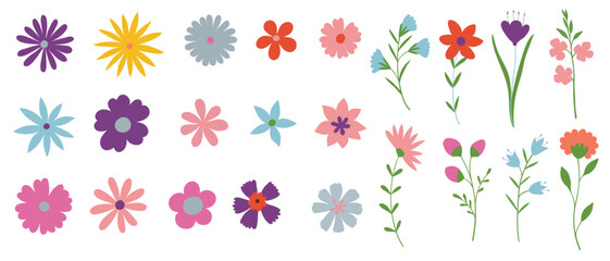 Set floral of wildflower, leaf branch, foliage on white background. Hand drawn blossom illustration for decor, Easter, thanksgiving, clipart.