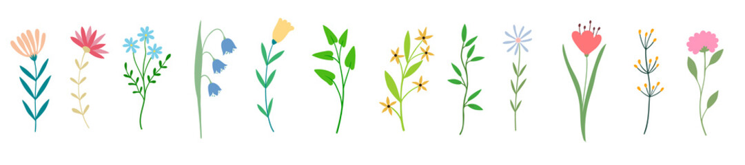 Obraz premium Flowers, floral plants set. Field, meadow and garden blooms, leaf branches.