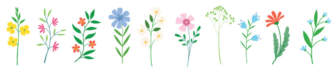 Wildflowers, blossoms. Spring and summer decorations.