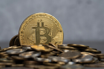 Koncepcja inwestowania, gromadzenia funduszy online bitcoin, transfer krypto waluty.
