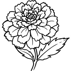 black and white flowers