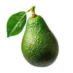 Fresh Avocado - Creamy Fresh Avocado for Healthy Eating | Ripe and Nutritious Fresh Avocado for Salads and Smoothies