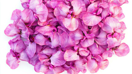 Obraz premium Realistic bouquet of vibrant purple irises for floral decoration and design