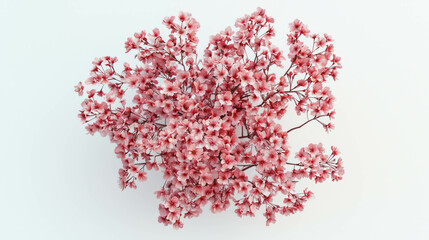 Obraz premium Realistic cherry blossom branch in bloom for nature and botanical design