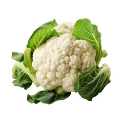 A Whole Cauliflower Isolated on White Background