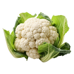 A Whole Cauliflower Isolated on Transparent Background
