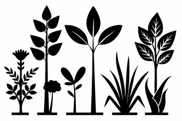 plant set line art silhouette vector illustration