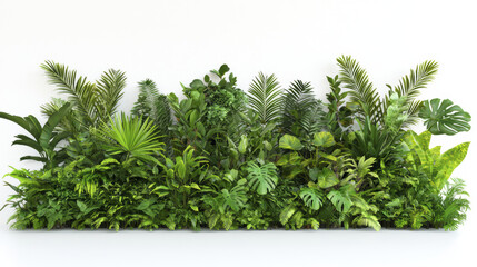 Obraz premium Lush tropical plants creating vibrant green wall display, showcasing diverse foliage and textures