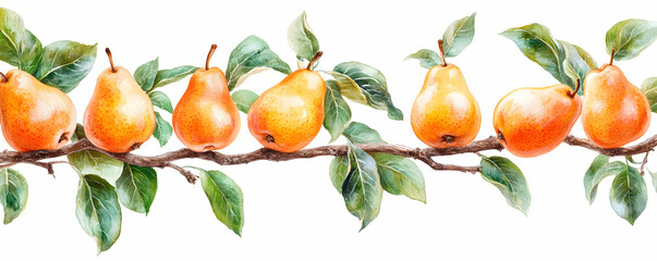 Watercolor Pears on Branch, Autumnal Fruit Harvest Abundantly Displays Ripe Golden Pears with Lush Green Foliage.