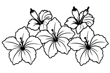 hibiscus flower set line art silhouette vector illustration