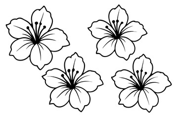 hibiscus flower set line art silhouette vector illustration