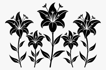 lily flower set line art silhouette vector illustration