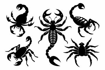scorpion set line art silhouette vector illustration