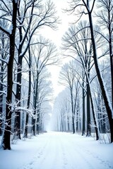Fototapeta premium Snowy forest branches with bare trees isolated on white background, foliage, still life