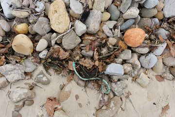 Restos de residuos naturales y artificiales arrastrados por la marea en una playa.