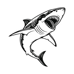 Shark vector illustration design, detailed vector, hand drawn style, isolated on a white background