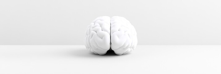 White brain model on a white background.