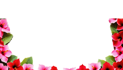 Colorful flower border design with pink and red blossoms