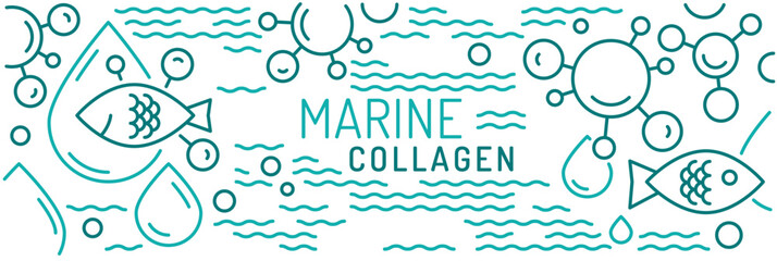 Collagen line web banner. Connective tissue protein.