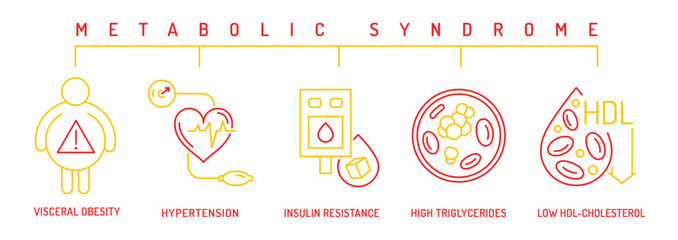 Metabolic syndrome icons. Health risk factors for cardiovascular disease.
