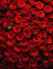 Natural Red Roses Wallpaper &ndash; Elegant Floral Texture from Top View