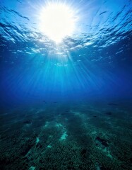 Shimmering Underwater Sunbeams &ndash; Capturing Nature's Serenity
