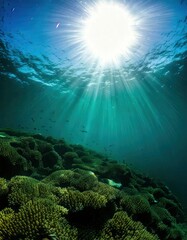 Underwater Scene with Radiant Sunbeams &ndash; Serene and Mystical