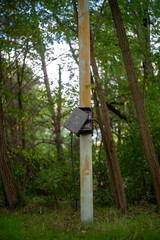 verwilderter Stromkrasten, alte Sandrennbahn