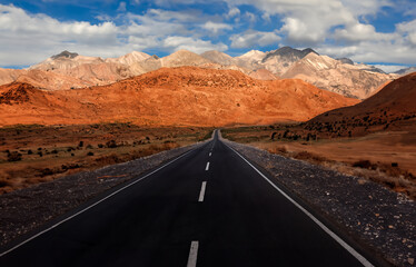 A road is shown in the desert with a few trees in the background