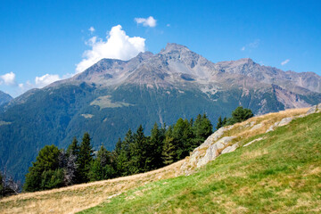 Fototapeta premium Summer view of the Cima Piazzi mountain photographed from the Valtellina pastures near Bormio