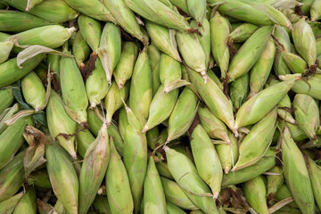 THAILAND RAYONG CITY FOOD MARKET