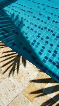 Palm shadow on swimming pool with blue tile and stone coping on a sunny day