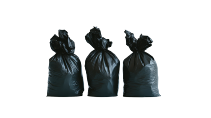 Black garbage bags filled with waste lined up against a clean white background in a neat arrangement for disposal purposes