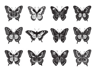 collection of butterflies
