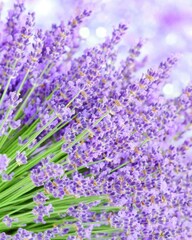 Naklejka premium A delicate arrangement of vibrant lavender flowers fills a clear glass vase, resting elegantly on a rustic wooden table. The soft purple hues contrast beautifully with the natural surroundings.