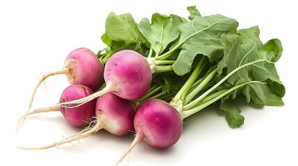 freshly harvested spring turnips Brassica rapa