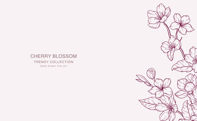 Cherry Blossom Line Art. Trendy floral branches and flowers. Botanical Line Art Sakura Collection. Hand drawn line art cherry blossom flowers. Luxury Line Floral Art. Cherry Blossom Outline